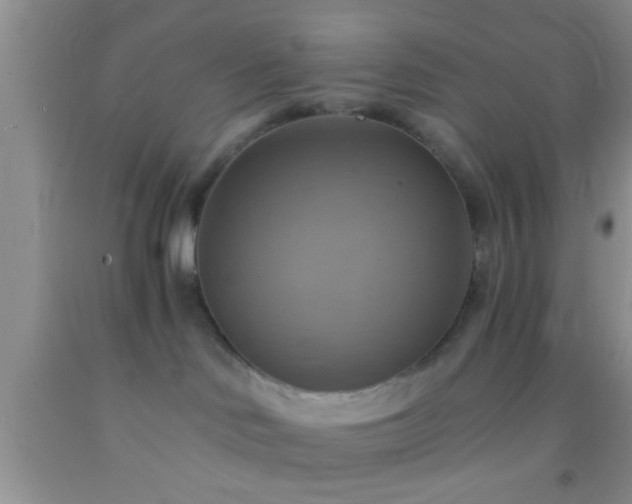 X0000092110046200709191337