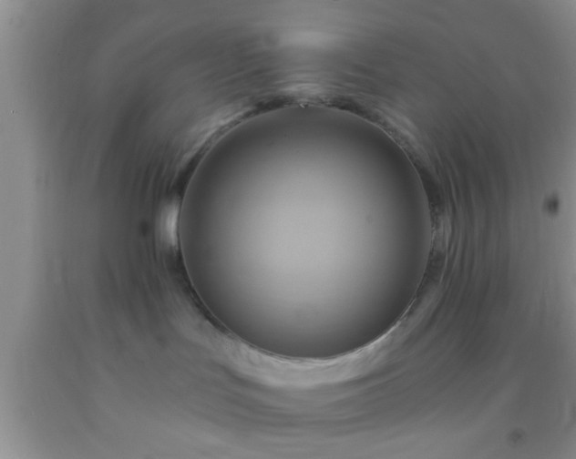 X0000092110047200709191337