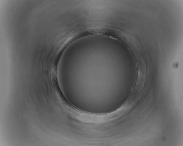 X0000092110048200709191337