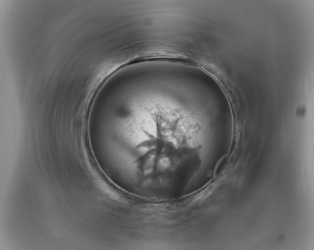 X0000092110049200709191336