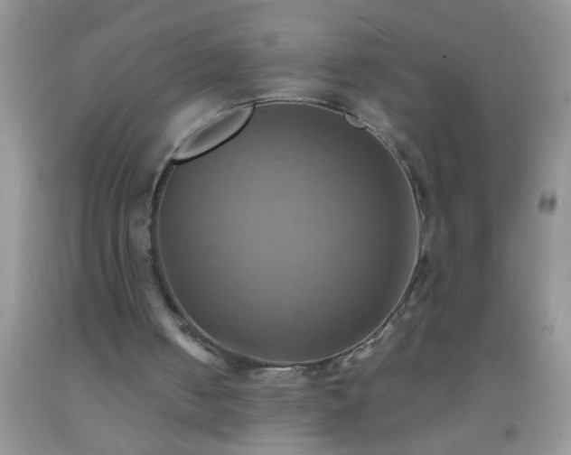 X0000092110050200709191336