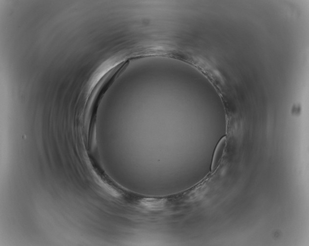 X0000092110051200709191336