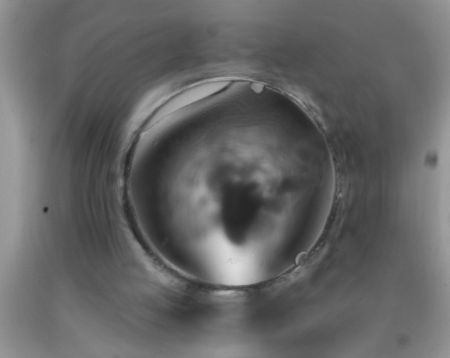 X0000092110053200709191336