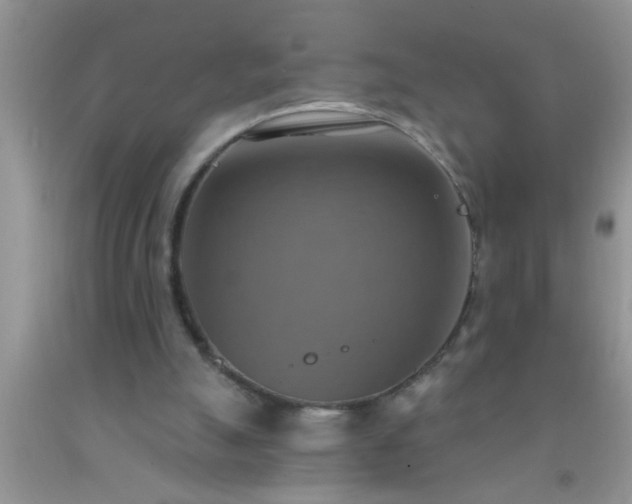 X0000092110055200709191336