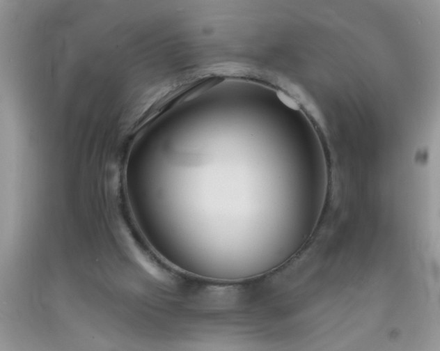 X0000092110057200709191336