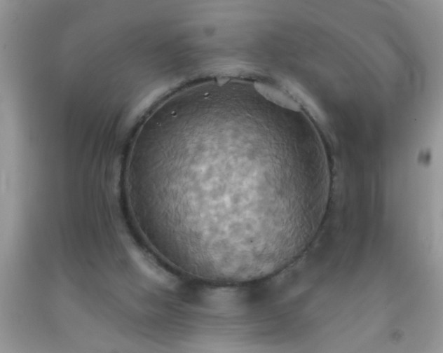 X0000092110058200709191336