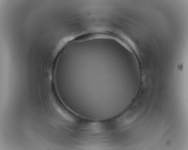 X0000092110059200709191336