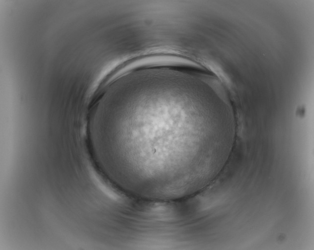 X0000092110060200709191336