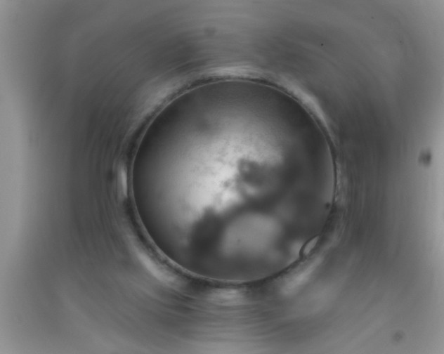 X0000092110061200709191336