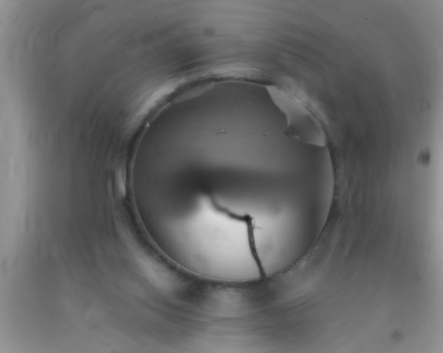 X0000092110062200709191336