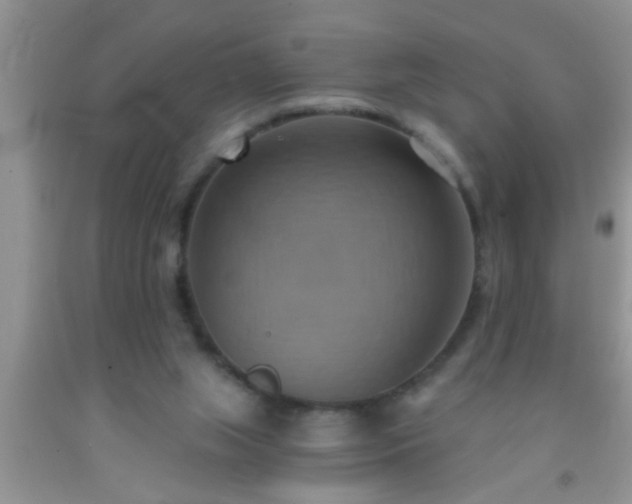 X0000092110063200709191336