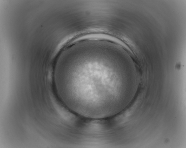 X0000092110064200709191336