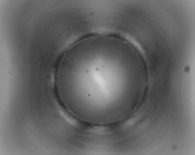 X0000092110065200709191336