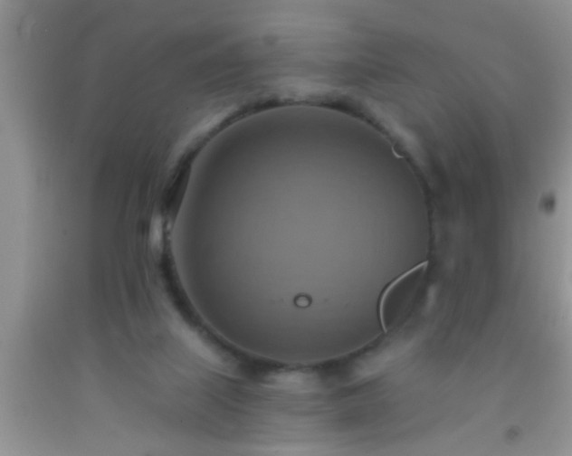 X0000092110067200709191336