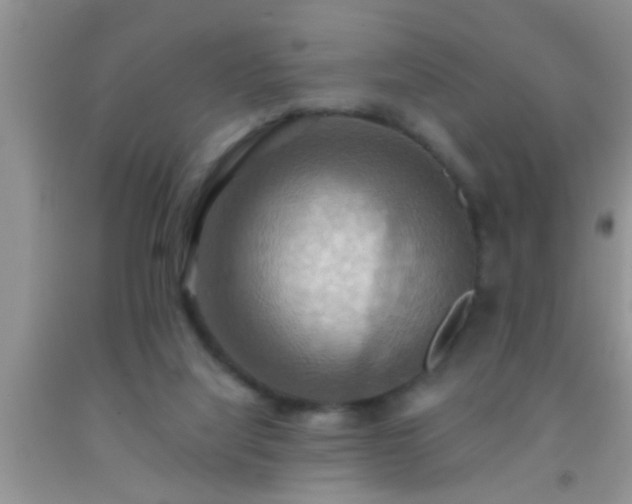 X0000092110068200709191336