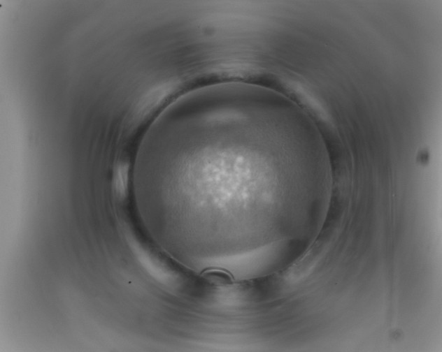 X0000092110070200709191336