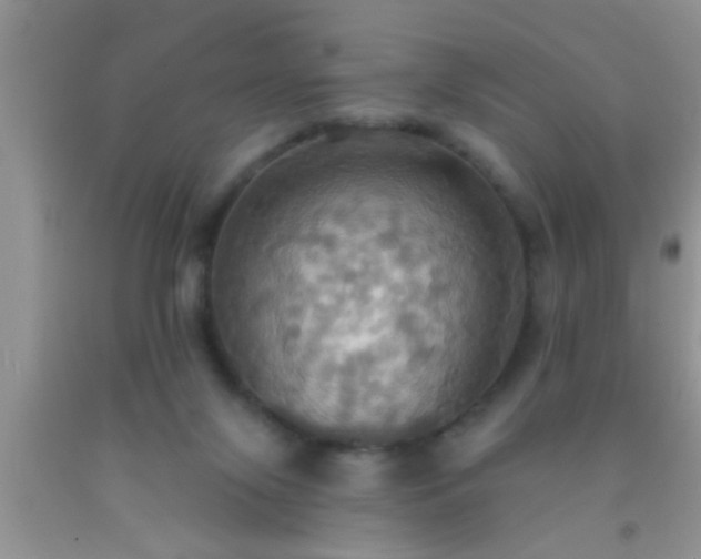 X0000092110071200709191336