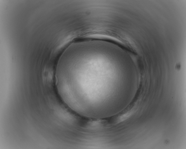 X0000092110072200709191336