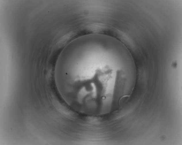 X0000092110073200709191336