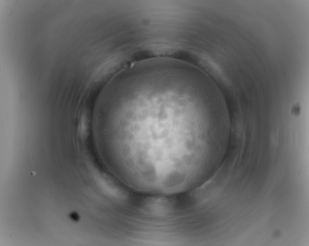 X0000092110074200709191336