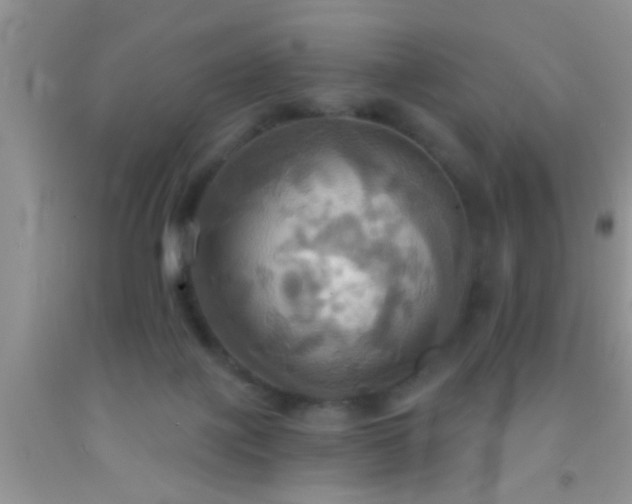 X0000092110075200709191336