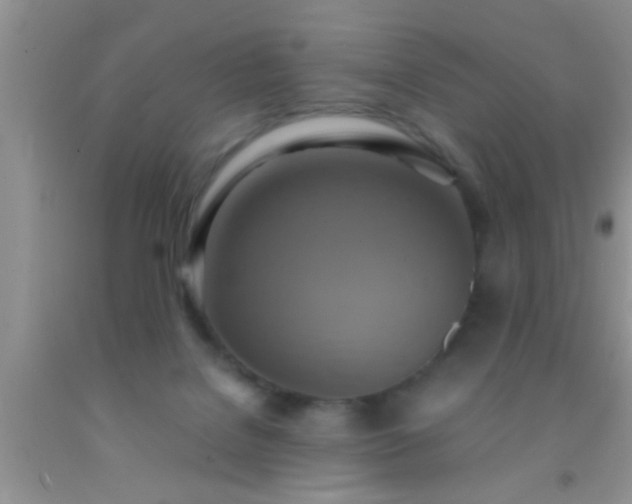 X0000092110076200709191336