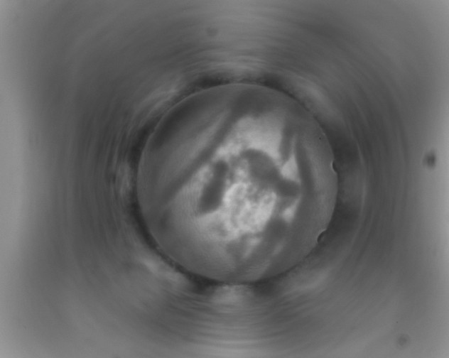 X0000092110077200709191336