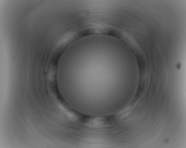 X0000092110078200709191337