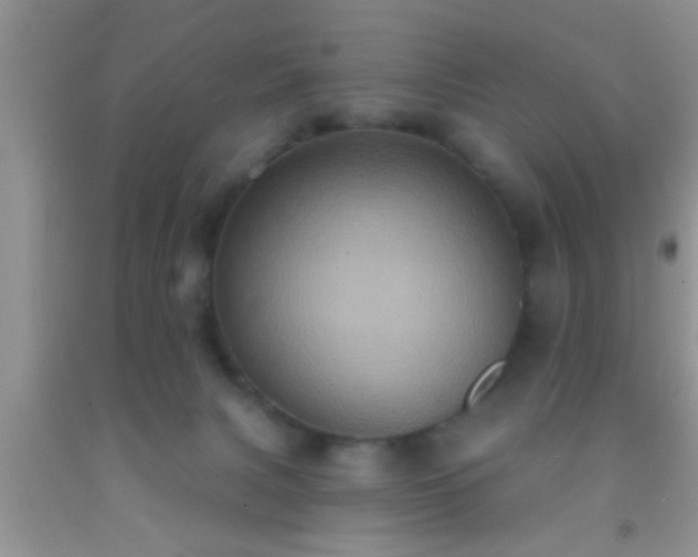 X0000092110079200709191337