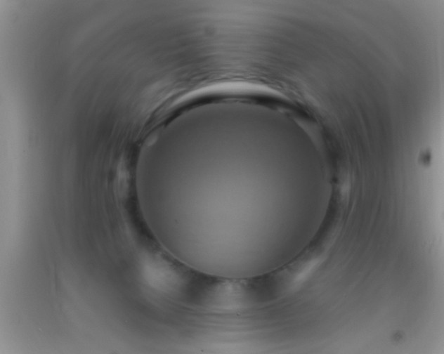 X0000092110080200709191337