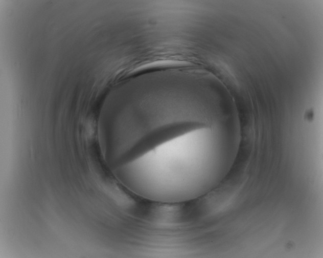 X0000092110081200709191337