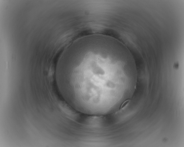 X0000092110082200709191337