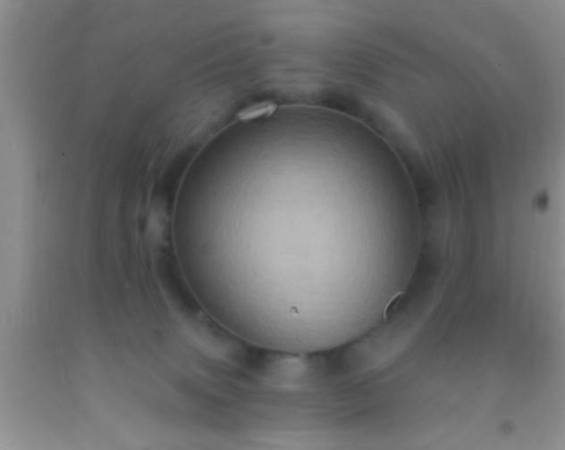 X0000092110083200709191337