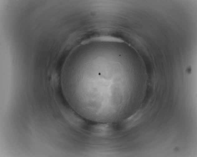 X0000092110086200709191337