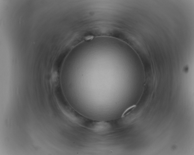 X0000092110087200709191337