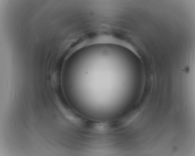 X0000092110088200709191337