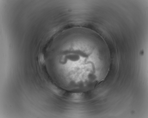 X0000092110089200709191337