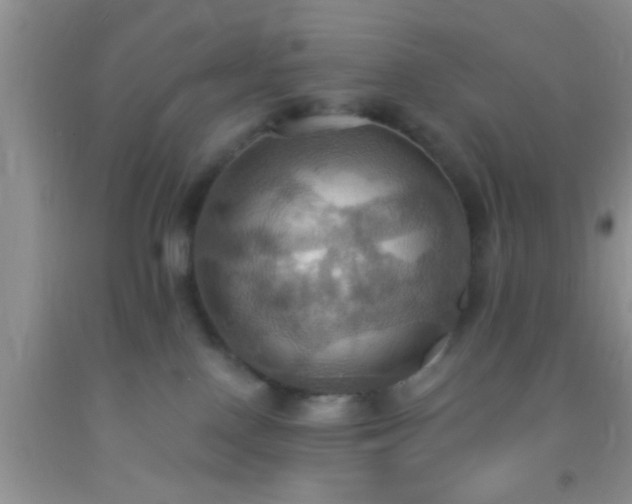 X0000092110090200709191337