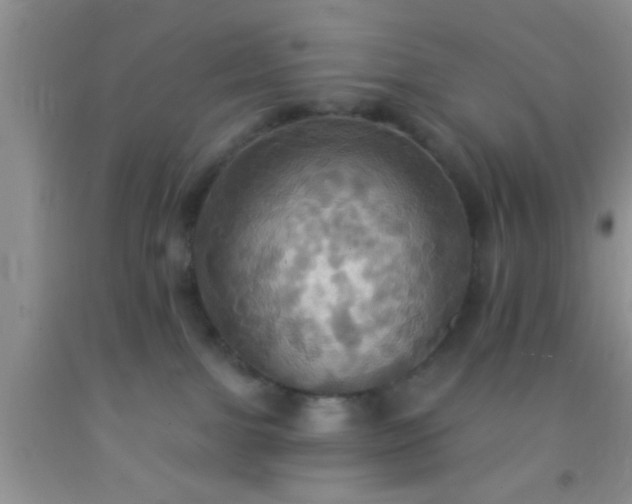 X0000092110091200709191337