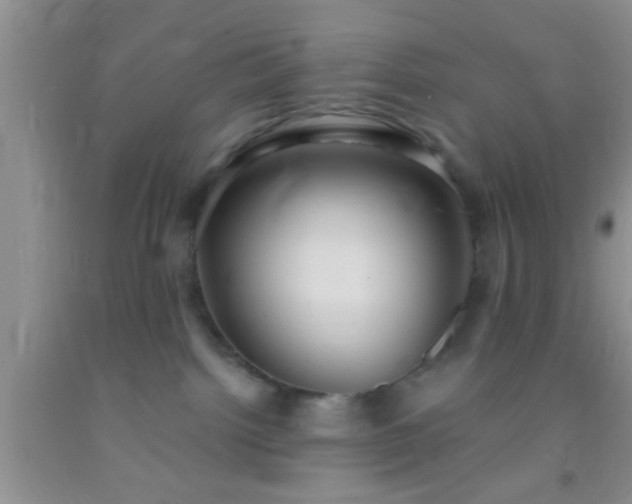 X0000092110092200709191337