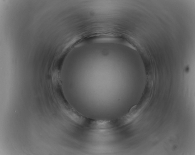 X0000092110093200709191337