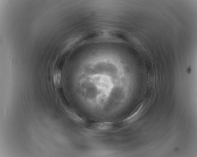 X0000092110094200709191337