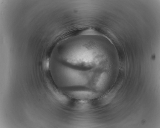 X0000092110095200709191337