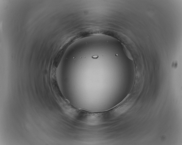 X0000092110096200709191337