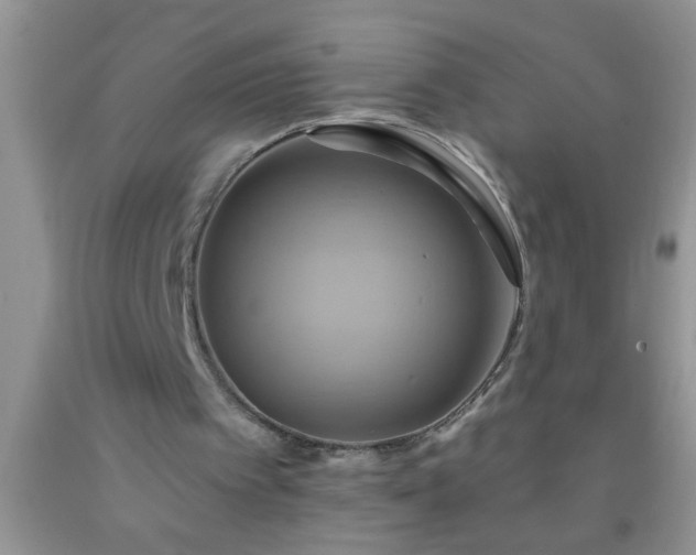 X0000092110097200709191336