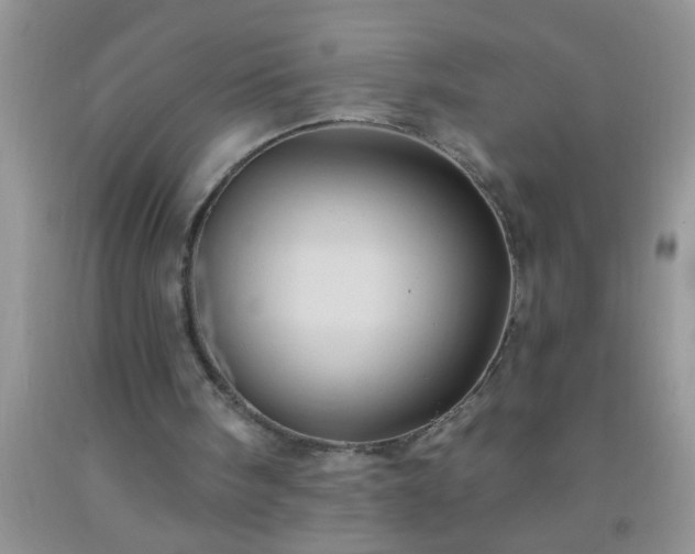 X0000092110098200709191336