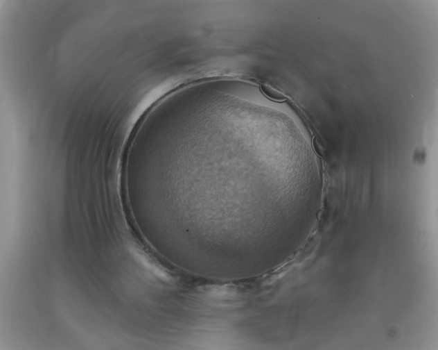 X0000092110100200709191336