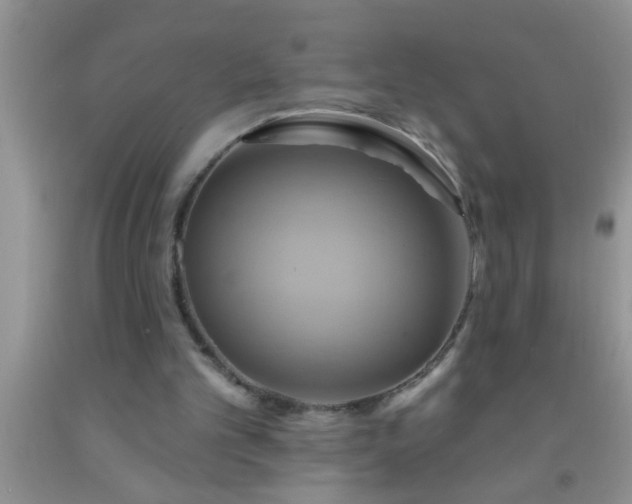 X0000092110101200709191336