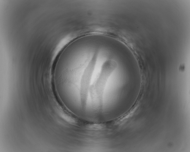 X0000092110102200709191336