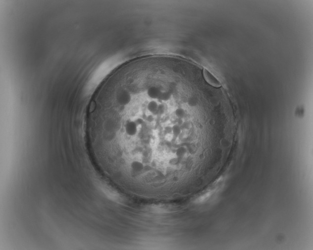 X0000092110103200709191336